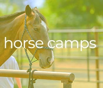 button labeled 'horse camp' for navigating to Horse camp page