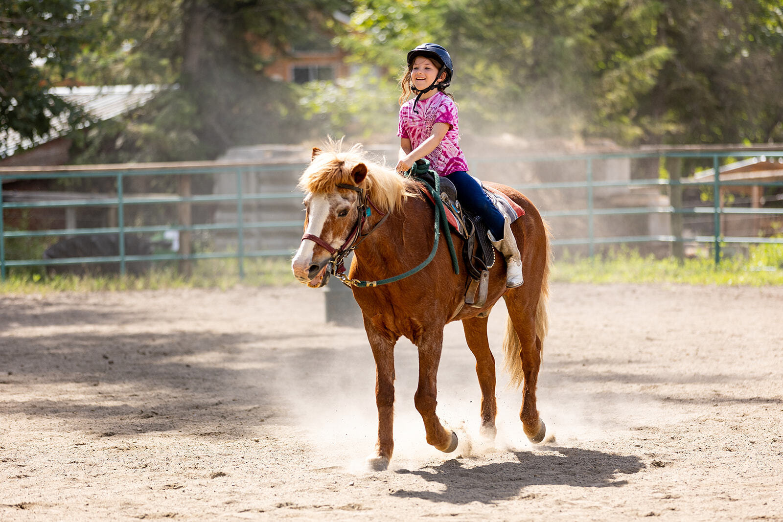 Horsemanship single rider on Ofie