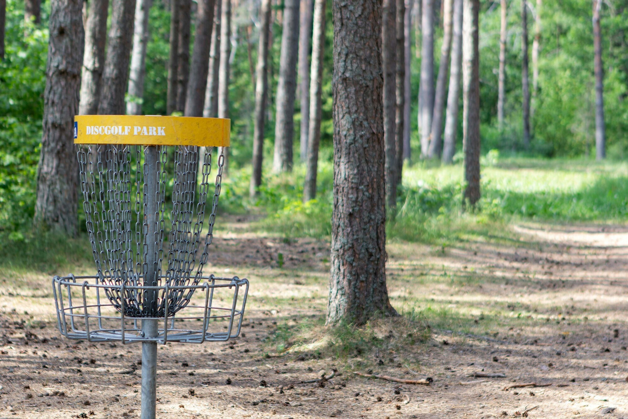 Disc Golf