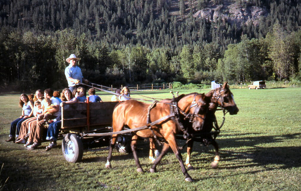 Dr. Art Weir horses and wagon