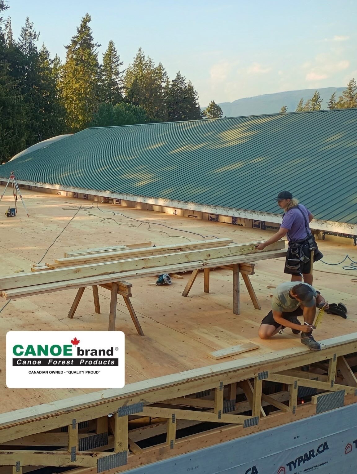 Header Image for Phase 1 Update: Front Deck & Roof Sheeting