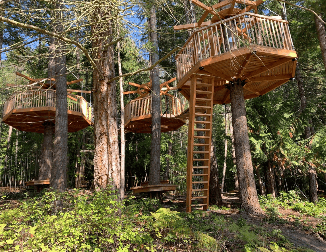 tree forts